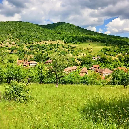 Magdolna Haz * Szogliget